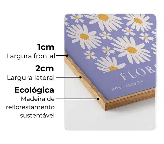 Imagem da moldura Filete