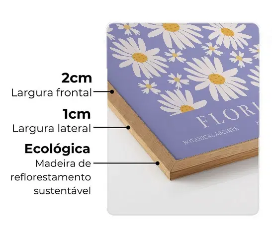 Imagem da moldura Flat