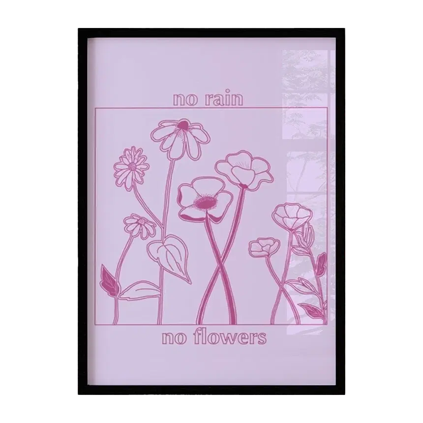 No Rain No Flowers