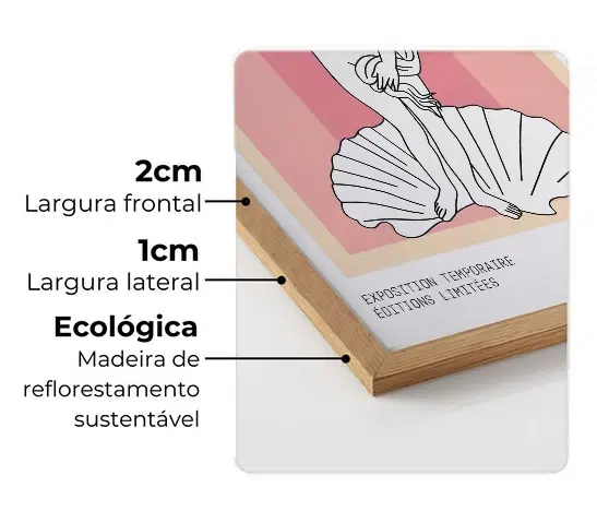 Imagem da moldura Flat