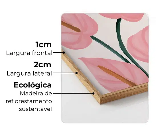 Imagem da moldura Filete